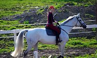 DSC 5289